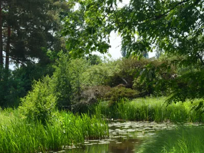 Entretien des berges